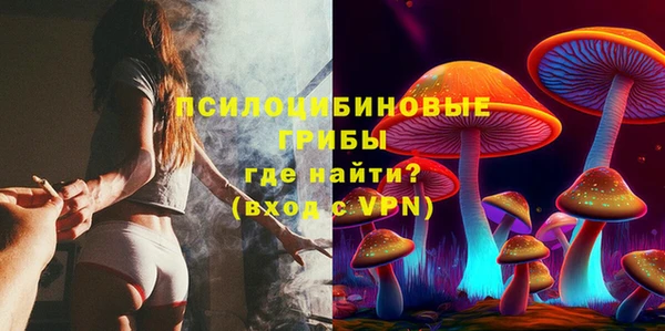индика Киренск
