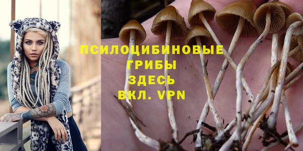 кокс Кинешма