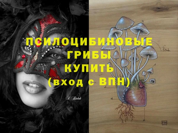 кокс Кинешма
