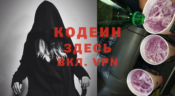 индика Киренск