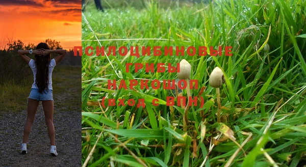индика Киренск
