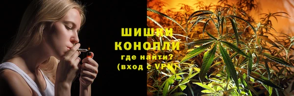 индика Киренск