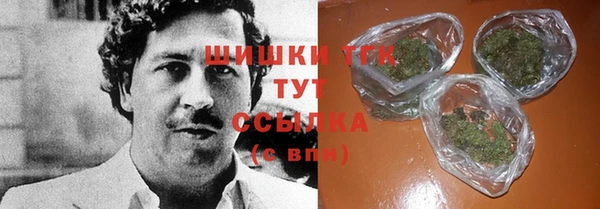 индика Киренск